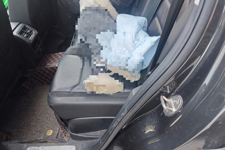 Used Volkswagen Tayron 2020 280TSI Two-Wheel Drive Luxury Connect Edition Left Rear Seat