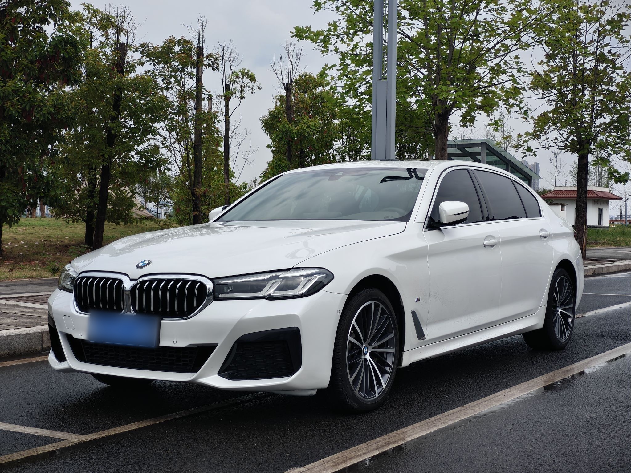 Parte inferior delantera