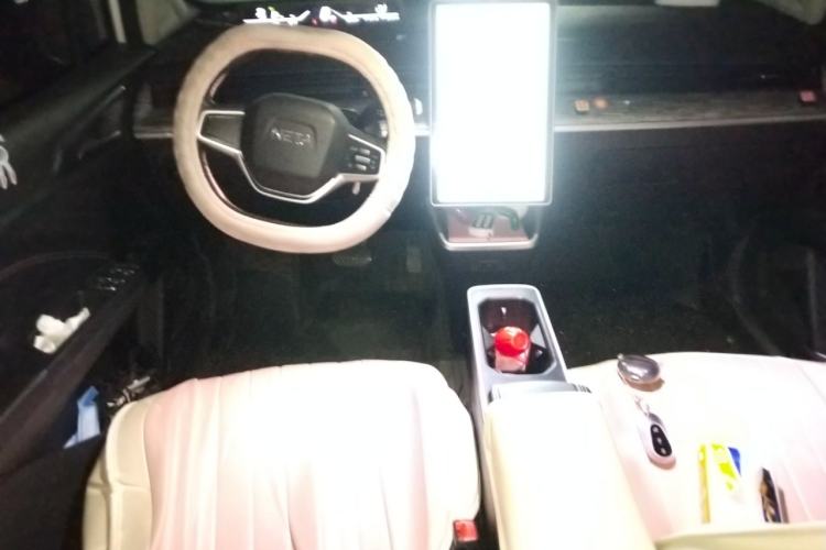 Used NETA V 2022 Chao 300 Lite Lithium Iron Phosphate