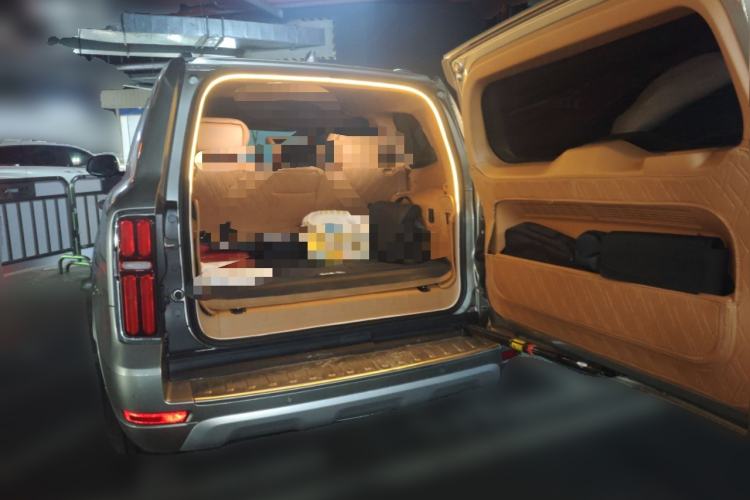 Used Tank 500 New Energy 2024 Hi4-T Trunk