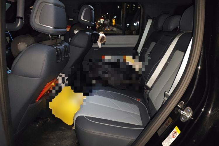 Used Formula Leopard Leopard 5 2025 TianShen Intelligent Driving Ultra Edition