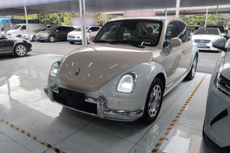 Used ORA Ballet Cat 2023 401 km Luxury Version