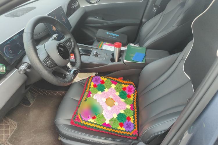 Used BYD Seal 06 New Energy 2024 DM-i 80KM Prestige Model Left Front Seat