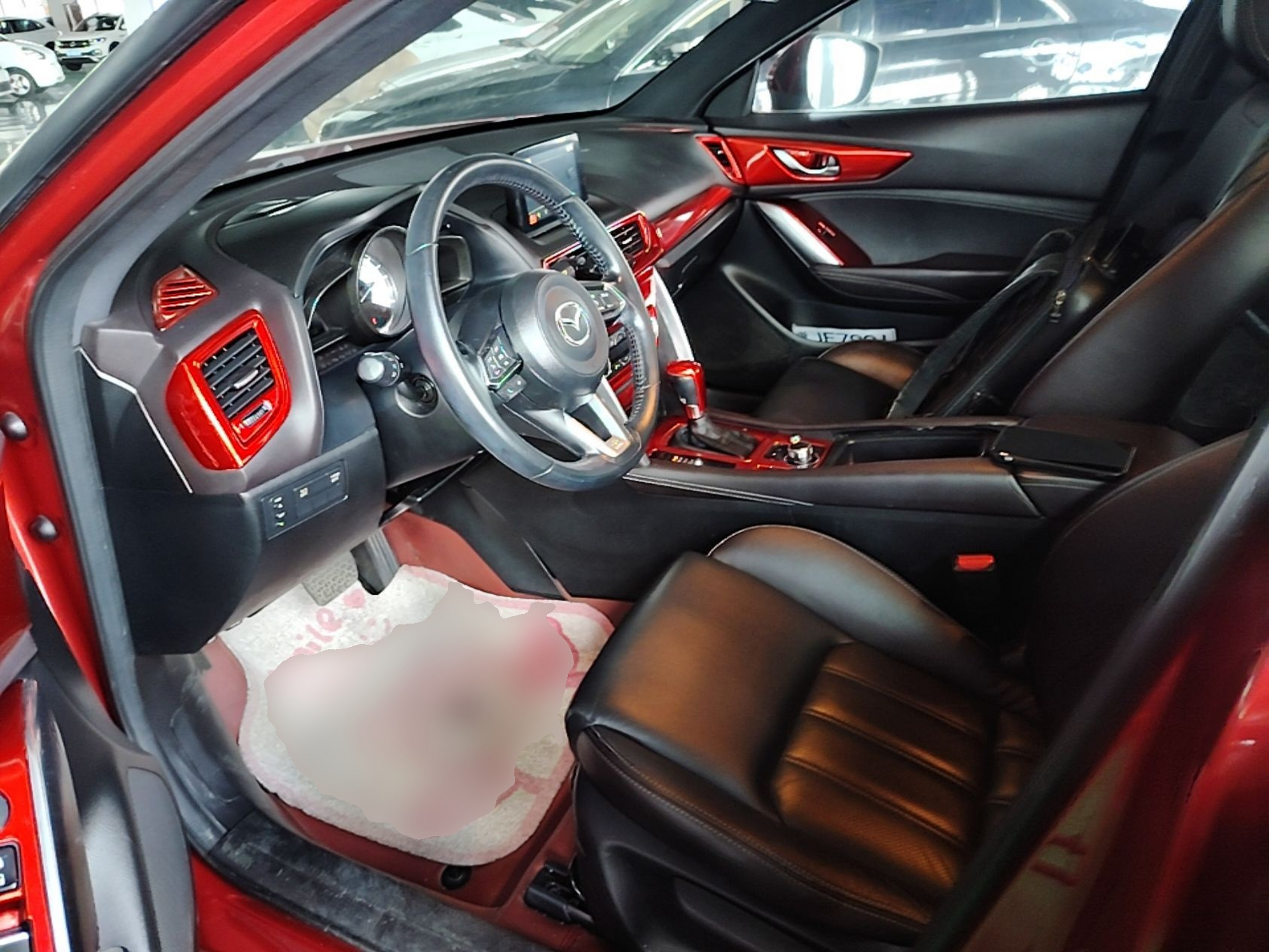 Interior delantero