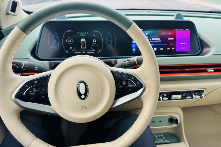 Used ORA Good Cat 2023 401 km Standard Range Premium Version Lithium Iron Phosphate