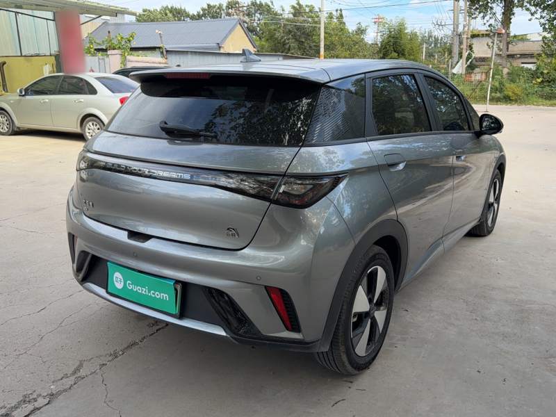 Used BYD Dolphin 2023 420 km Fashion Edition — 6