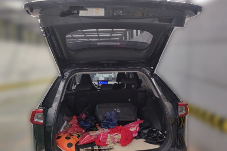 Used Toyota Wildlander 2022 2.0L CVT Two-Wheel Drive Luxury Edition