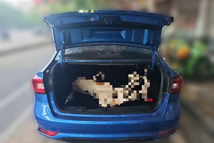 Used Roewe i5 2019 1.5L Automatic 4G Connected Langhao Edition Trunk