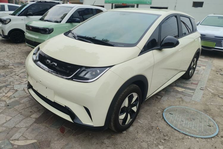 Used BYD Dolphin 2025 420km Free Edition