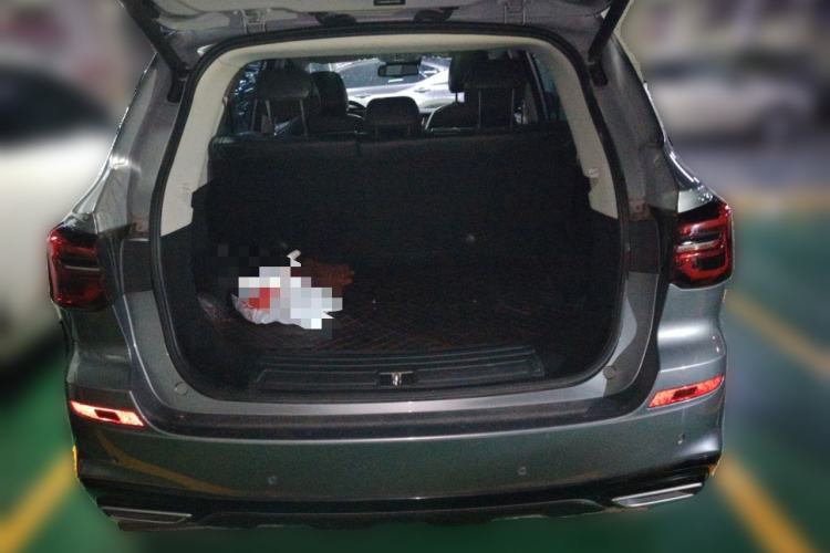 Used Roewe RX5 2020 PLUS 300TGI Automatic Ali National Style Ronglin Edition