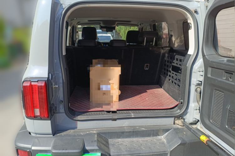 Used Tank 300 2021 Off-Road Edition 2.0T Challenger
