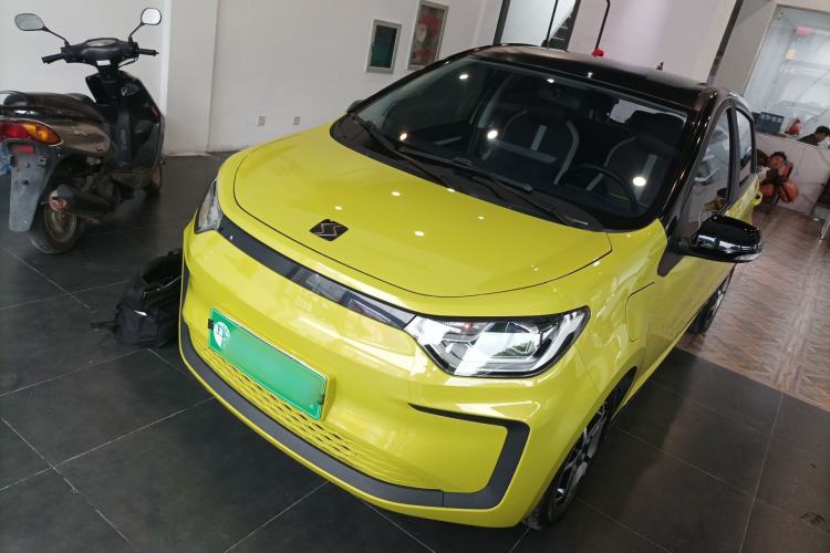 Used SOL E10X 2022 Flower Fairy Style Baby's Breath