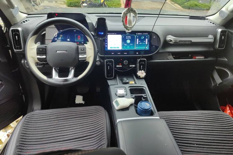 Used Haval DARGO 2021 1.5T DCT Two-Wheel Drive Border Collie Edition Center Console