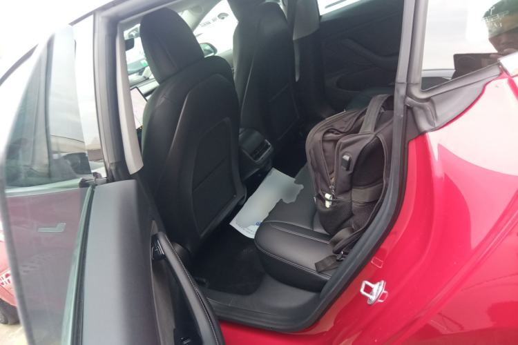 Used Tesla Model 3 2019 Long-Range Rear-Wheel-Drive Version Left Rear Seat