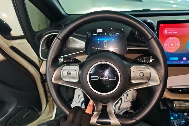 Used BYD Dolphin 2024 Honor Edition 420km Freedom Version
