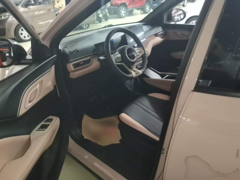 Used BYD Seagull 2025 305km Active Version — 14