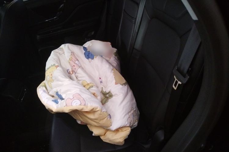 Used Lincoln Corsair 2021 2.0T Two-Wheel-Drive Luxury Edition Left Rear Seat