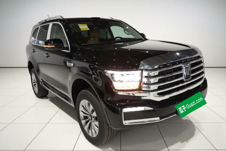 Used Tank 500 New Energy 2026 Model—Hi4-T Smart Enjoyment Version