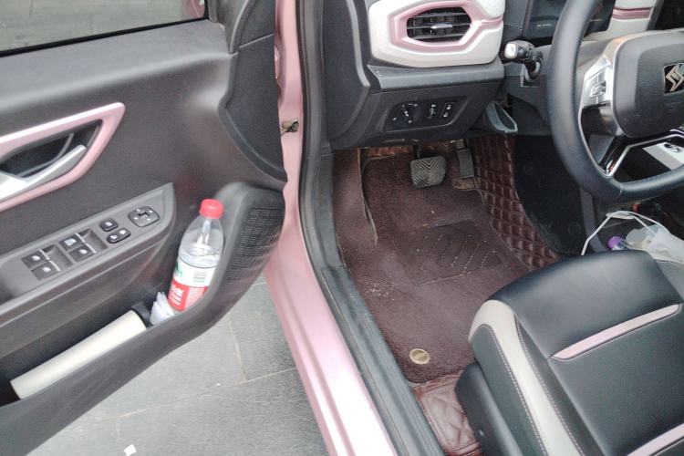 Used SOL E10X 2022 Flower Fairy Style Baby's Breath