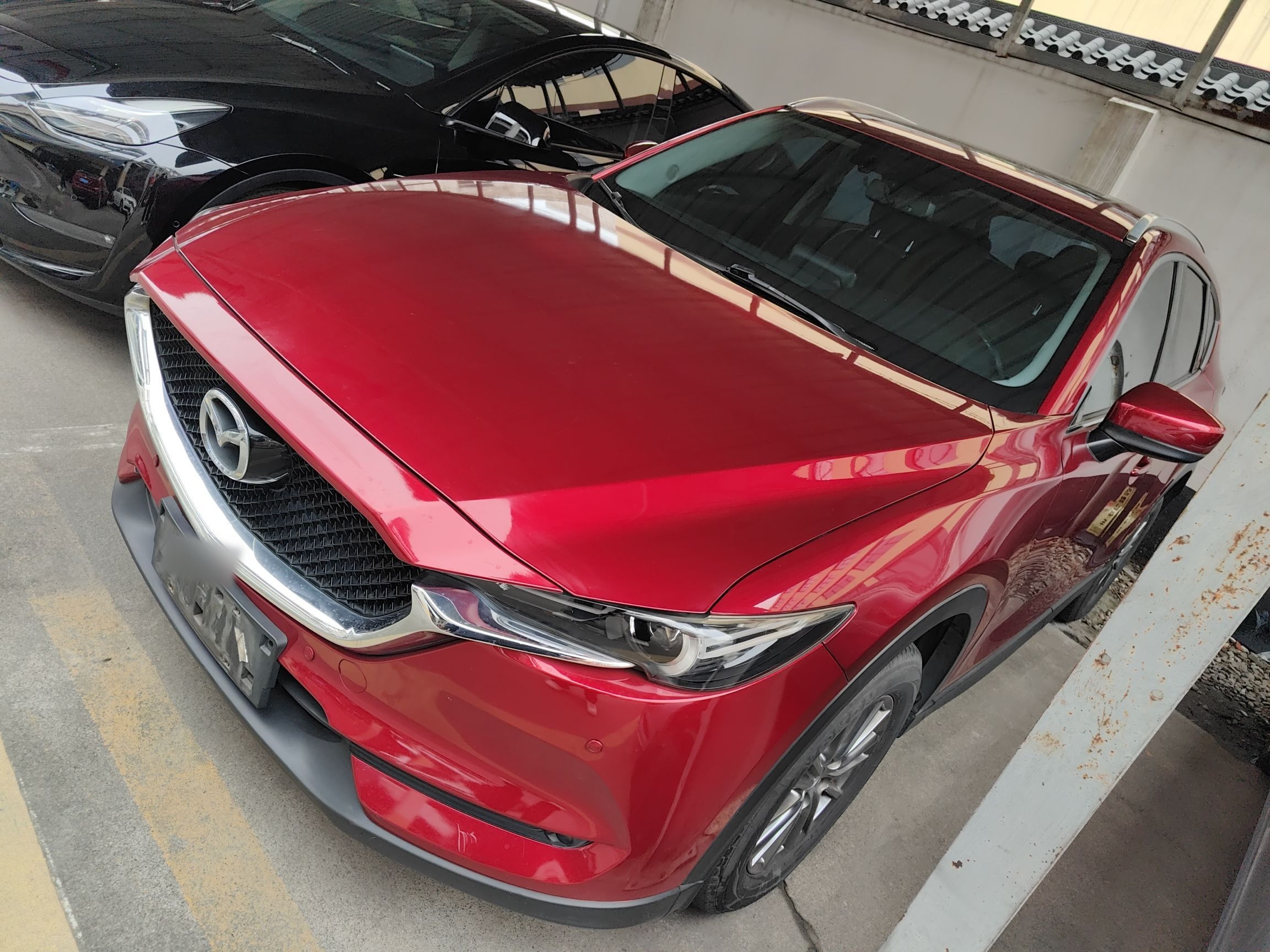 تحت مقدمة السيارة