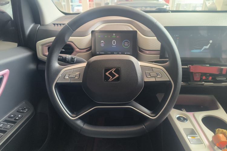 Used SOL E10X 2022 Flower Fairy Design Four-Leaf Clover