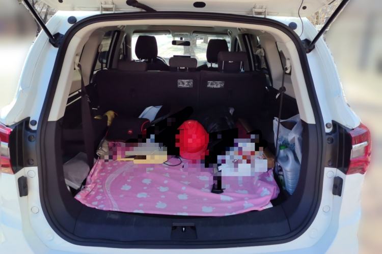 Used FORTHING T5L 2020 1.8T Manual Comfort 7-Seater China VI