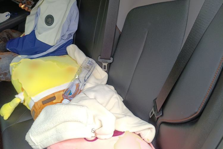 Used CHANGAN OSHAN Z6 2023 Blue Whale 1.5T DCT Smart-Led City Edition Left Rear Seat