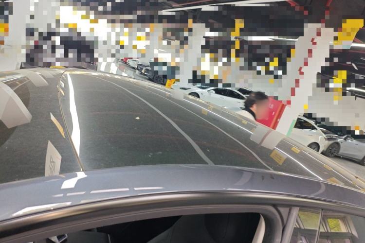 Used Tesla Model Y 2021 Performance High-Performance All-Wheel-Drive Version Roof