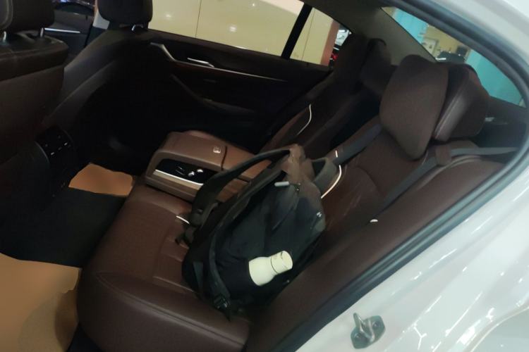 Used BMW 5 Series New Energy 2020 Mileage Upgrade Version 530Le Luxury Package Left Rear Seat