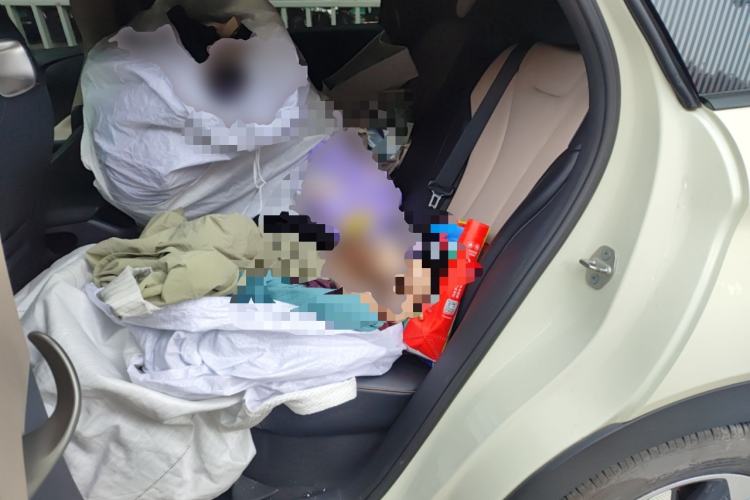 Used BYD Dolphin 2025 420km Free Edition Left Rear Seat