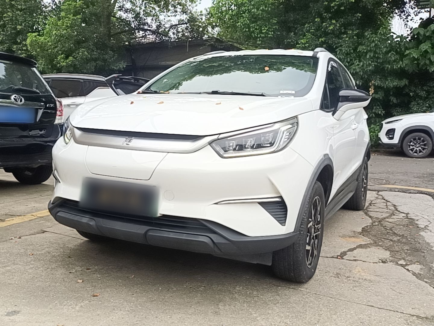 Under Front Bumper