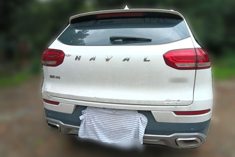Used Haval H6 2020 1.5 GDIT Automatic Platinum Champion Edition Rear