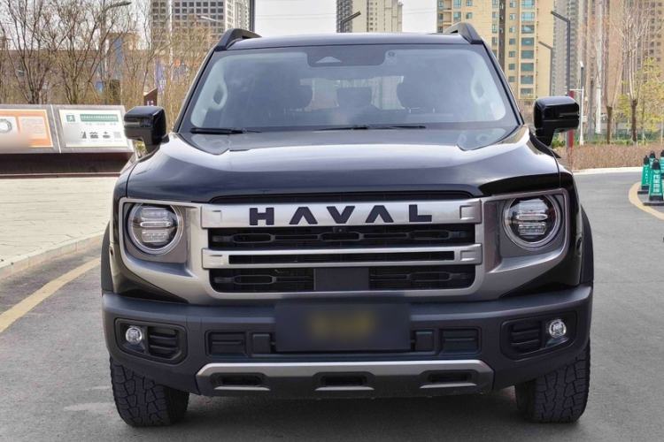Used Haval DARGO 2024 2.0T DCT Chinese Rural Dog Edition
