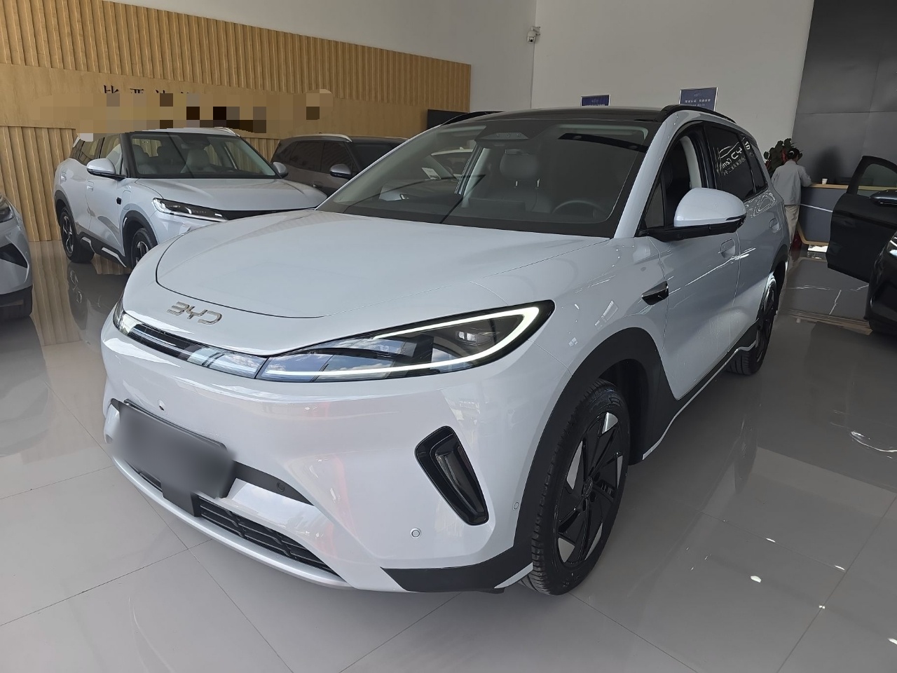 Parte inferior delantera