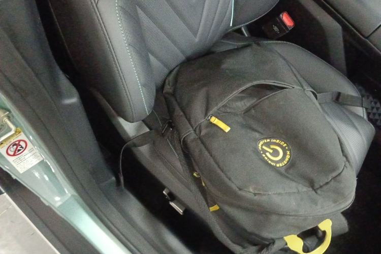 Used Deepal SL03 2024 530 Plus Pure Electric Version Right Front Seat