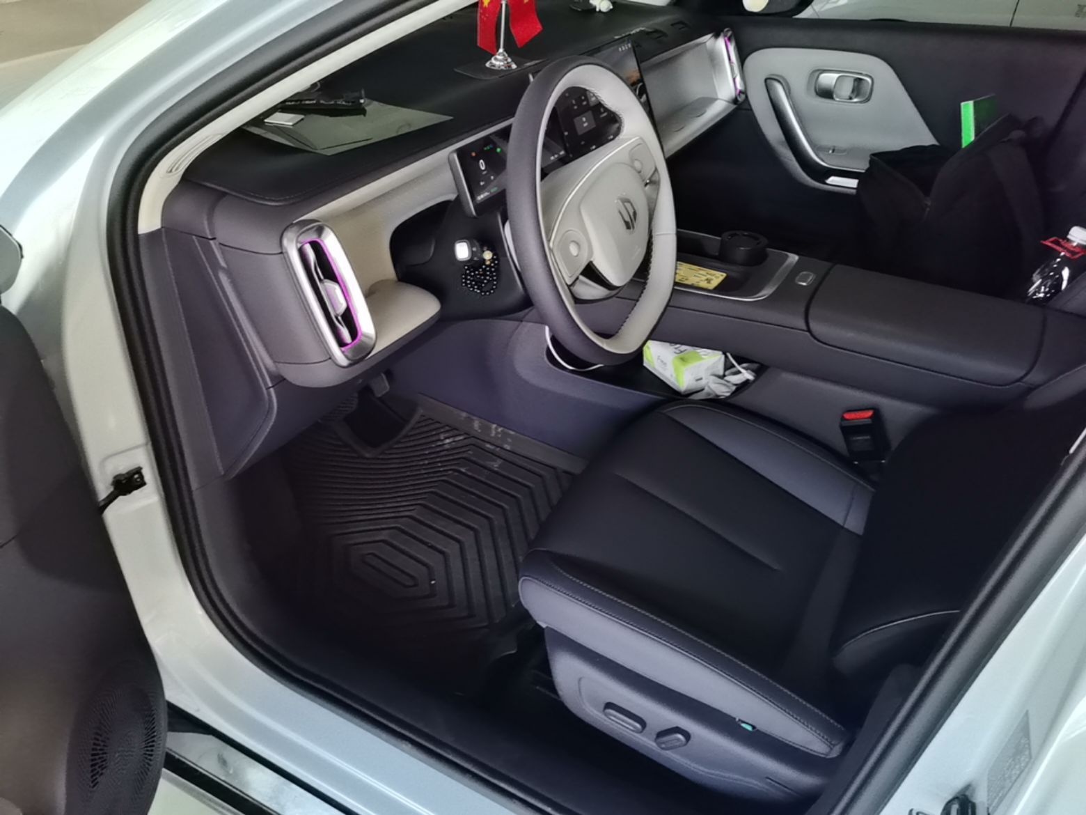 Interior delantero