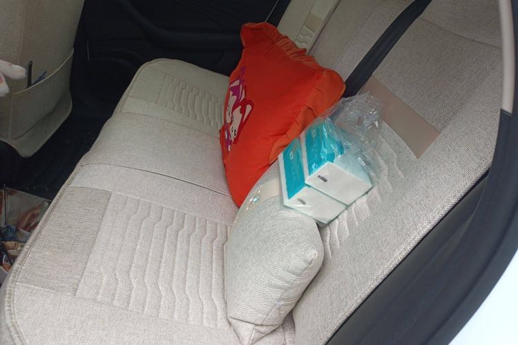 Used Roewe D7 2025 DMH 125km World Champion Excellence Edition Left Rear Seat