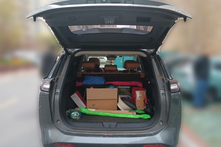 Used WM Motor W6 2021 520km PRO All-Round Edition
