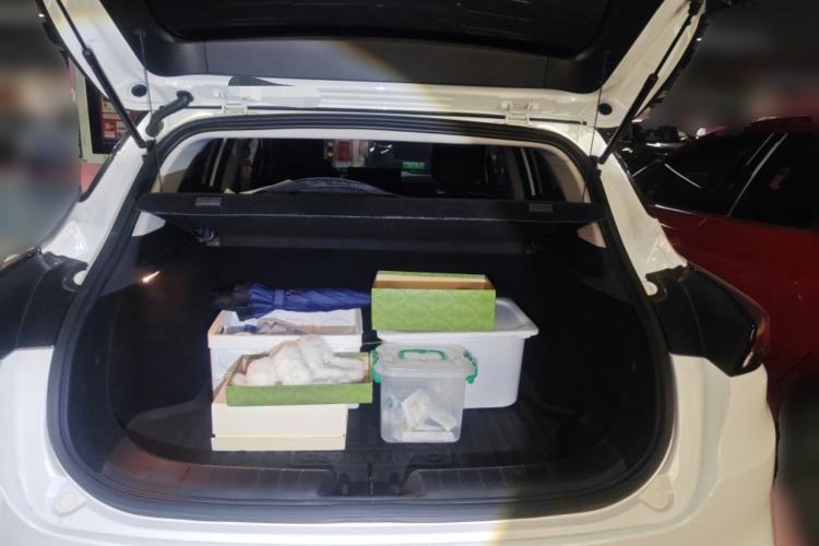 Used Geometry C 2020 Selected Range Edition 550 KM C++ Trunk