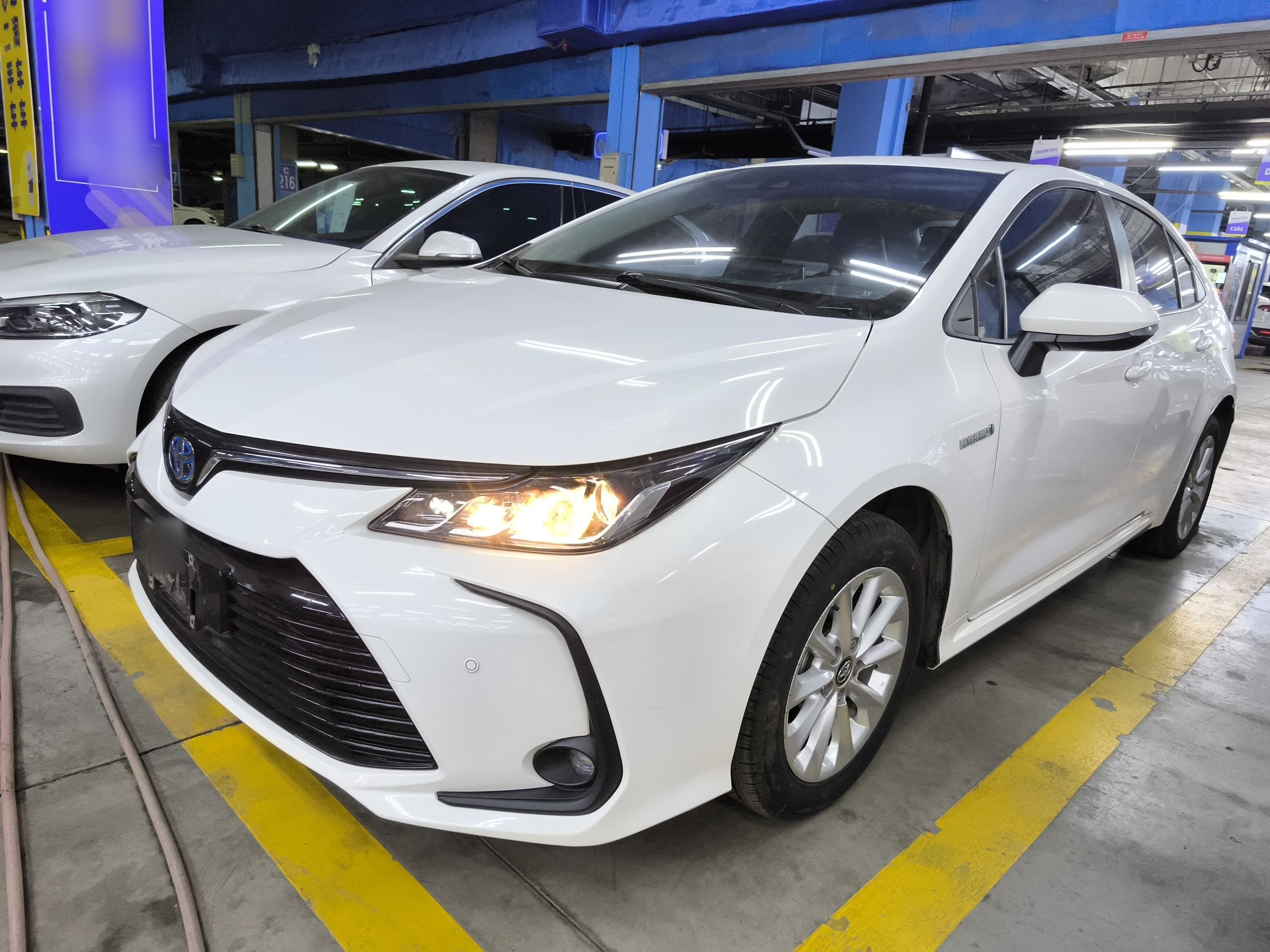 تحت مقدمة السيارة