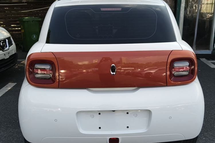 Used ORA Black Cat 2019 351 km Goddess Edition Rear