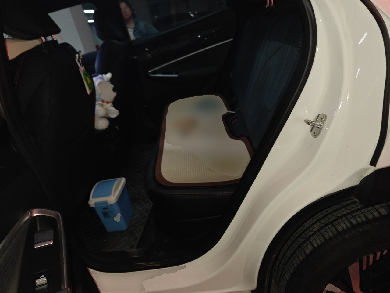 Geely Auto Emgrand X7 Sport 2024 1.5TD Smart Connect+ — снимка 17