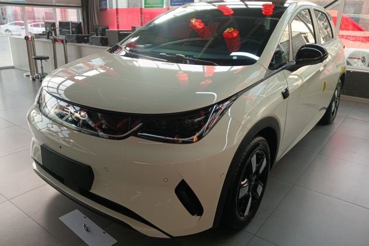 Used BYD Dolphin 2025 Intelligent Driving Version 410 km Fashion Edition