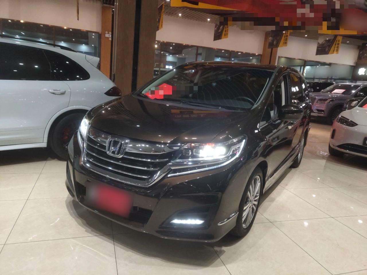 Parte inferior delantera