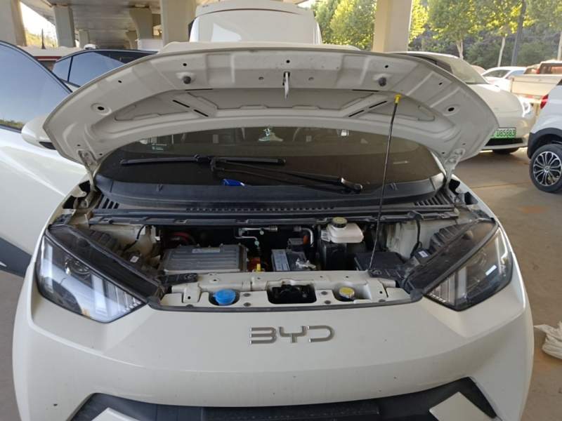 Used BYD Seagull 2023 Active Version — 19