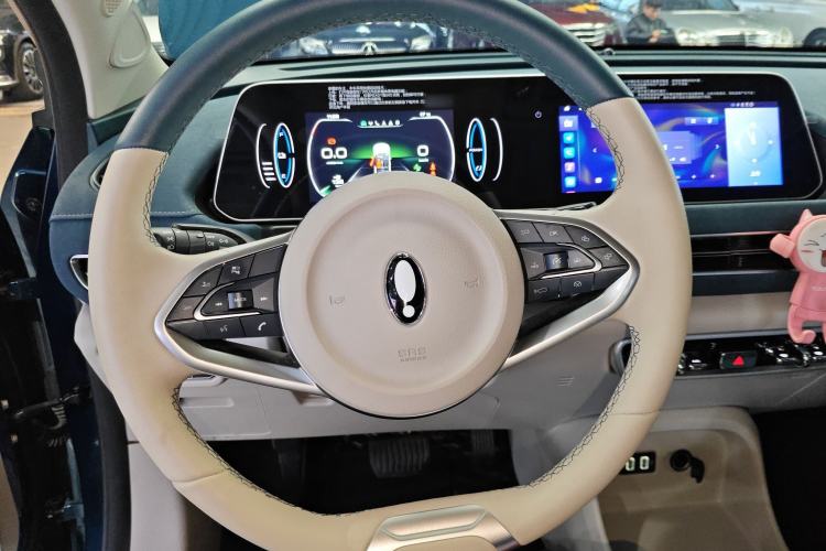 Used ORA Good Cat 2022 400km Standard Range Luxury Version Ternary Lithium
