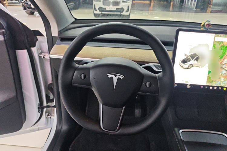 Used Tesla Model Y 2021 Standard Range Rear-Wheel Drive Version