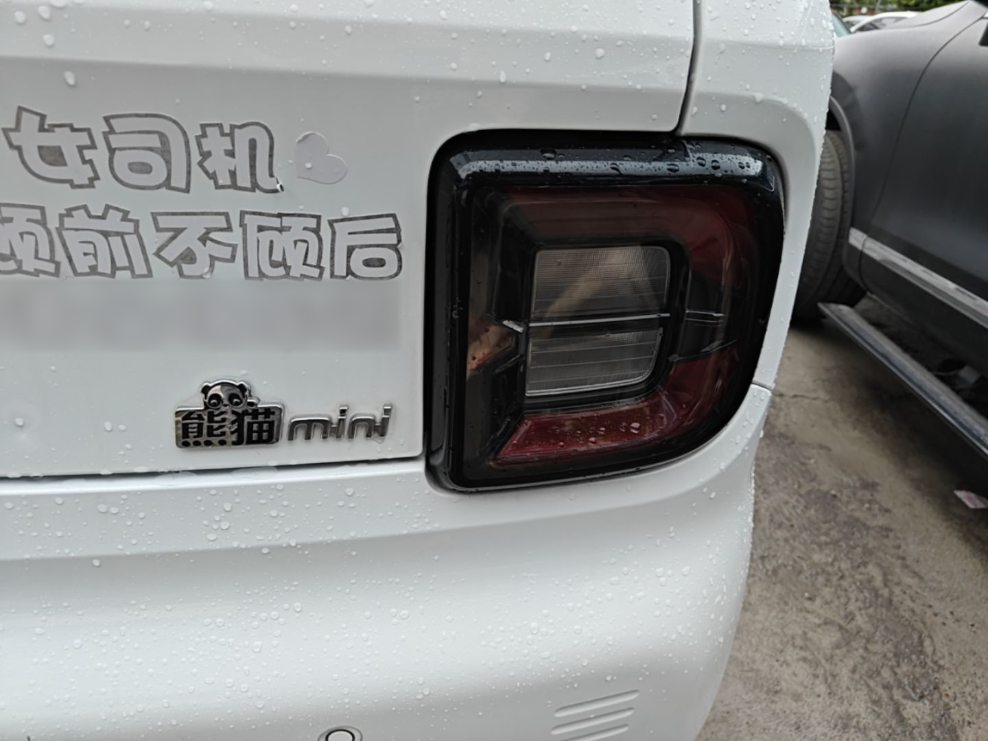 Geely Galaxy Panda 2023 Panda Mini 200km Endurance Bear — снимка 9