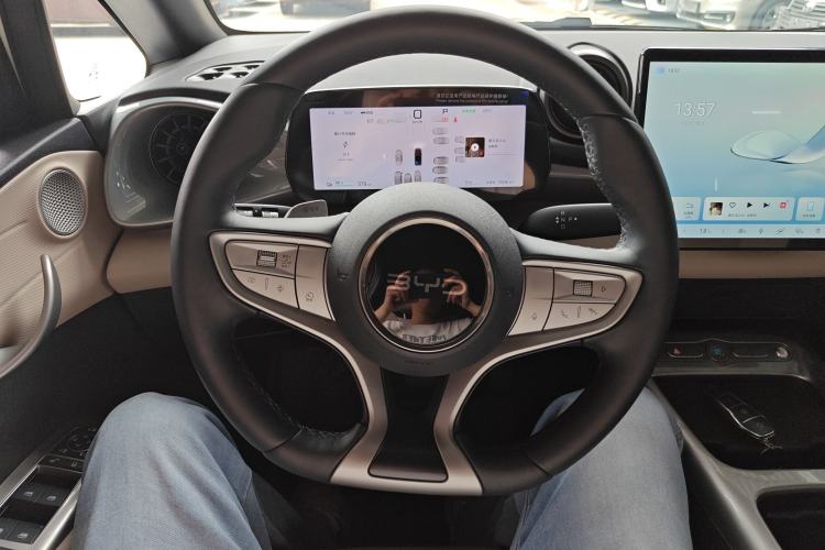 Used BYD Dolphin 2025 Smart Drive Version 420 km Freedom Edition Steering Wheel
