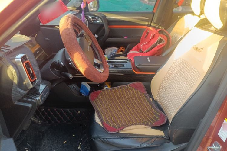 Used Haval DARGO 2021 2.0T DCT 4x4 Chinese Rural Dog Edition